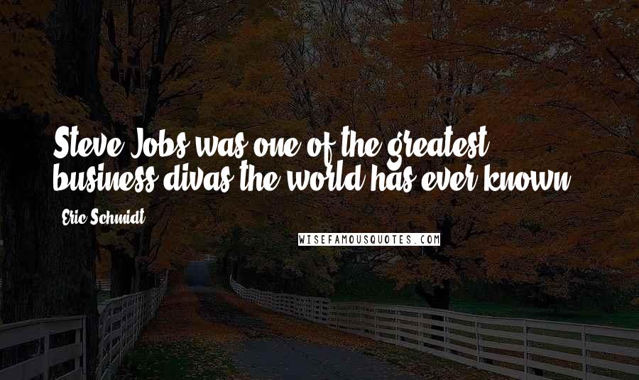 Eric Schmidt Quotes: Steve Jobs was one of the greatest business divas the world has ever known!)