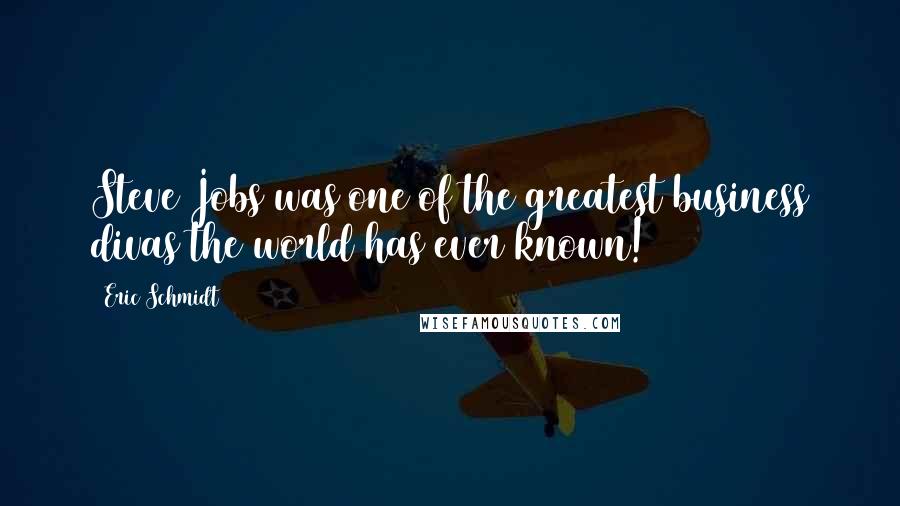 Eric Schmidt Quotes: Steve Jobs was one of the greatest business divas the world has ever known!)