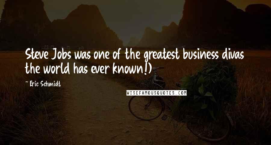 Eric Schmidt Quotes: Steve Jobs was one of the greatest business divas the world has ever known!)