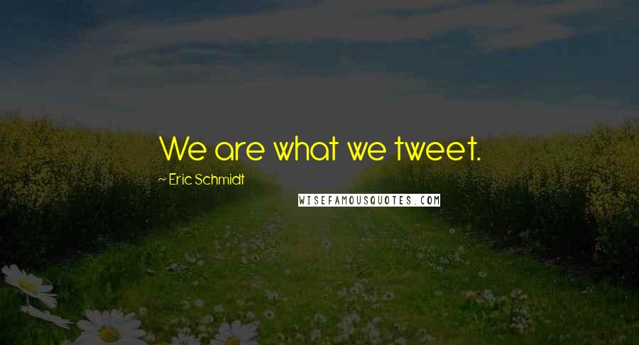 Eric Schmidt Quotes: We are what we tweet.