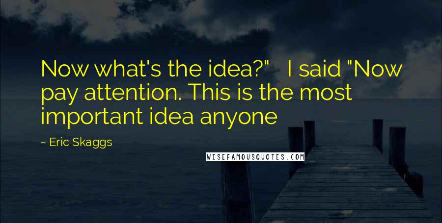 Eric Skaggs Quotes: Now what's the idea?" I said "Now pay attention. This is the most important idea anyone
