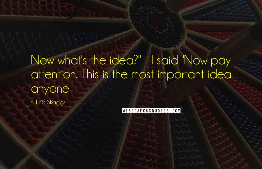 Eric Skaggs Quotes: Now what's the idea?" I said "Now pay attention. This is the most important idea anyone