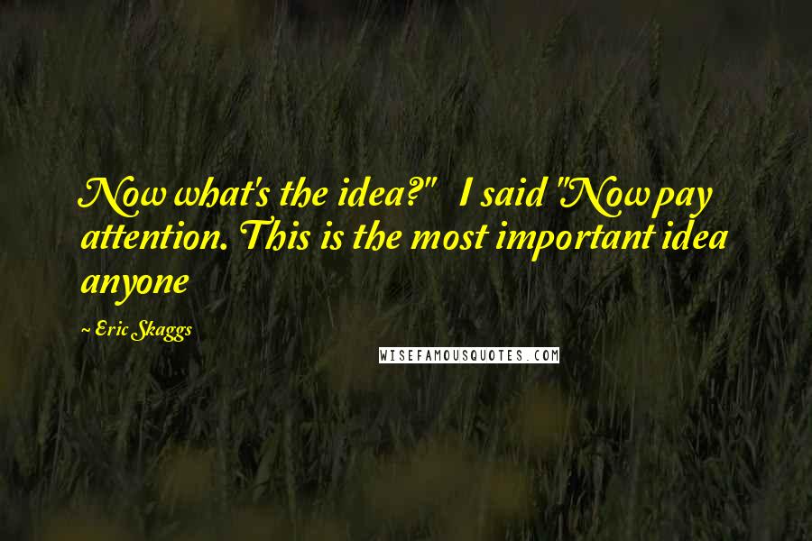 Eric Skaggs Quotes: Now what's the idea?" I said "Now pay attention. This is the most important idea anyone