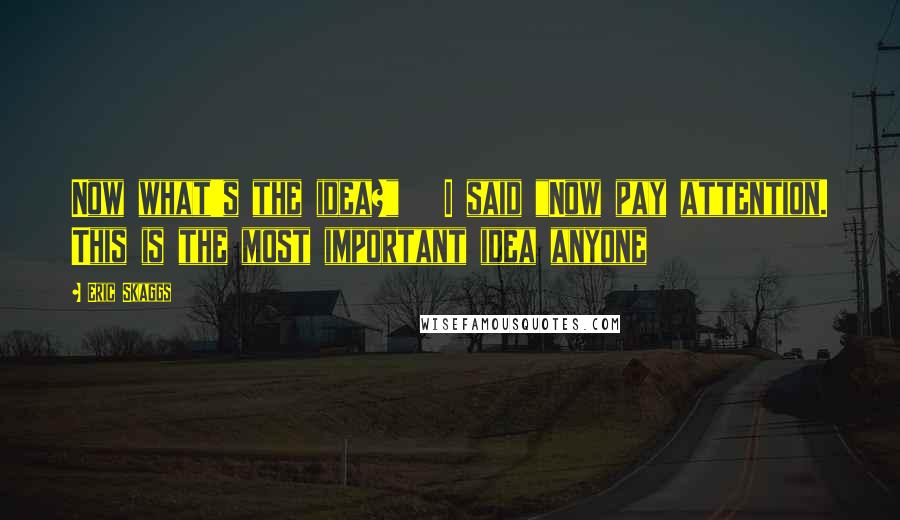 Eric Skaggs Quotes: Now what's the idea?" I said "Now pay attention. This is the most important idea anyone