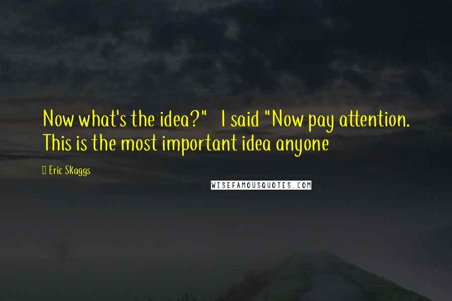 Eric Skaggs Quotes: Now what's the idea?" I said "Now pay attention. This is the most important idea anyone