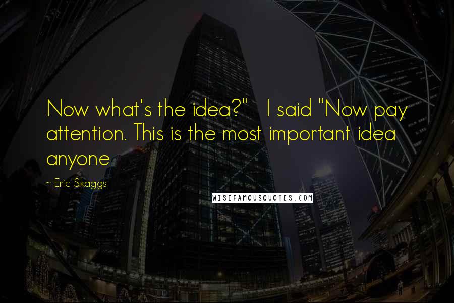 Eric Skaggs Quotes: Now what's the idea?" I said "Now pay attention. This is the most important idea anyone