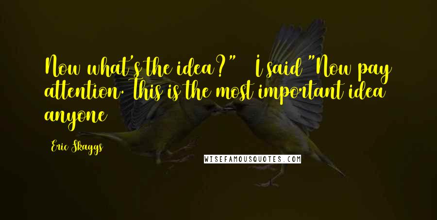 Eric Skaggs Quotes: Now what's the idea?" I said "Now pay attention. This is the most important idea anyone