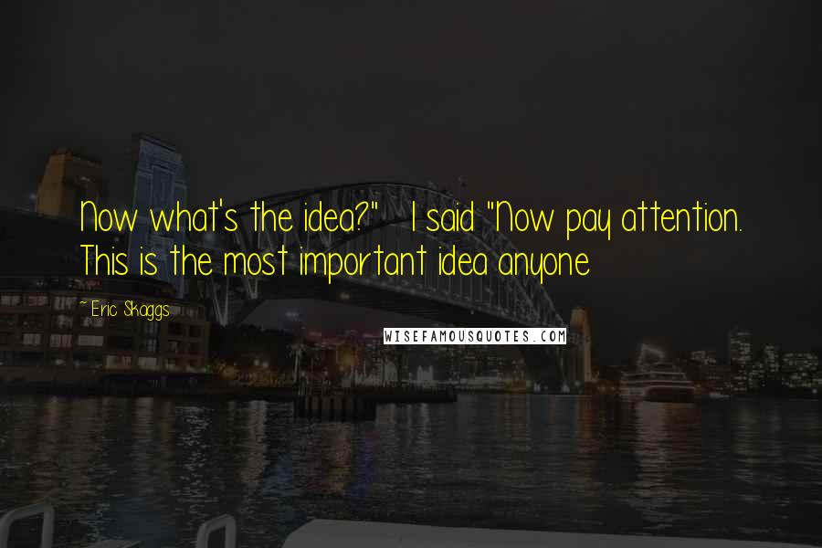 Eric Skaggs Quotes: Now what's the idea?" I said "Now pay attention. This is the most important idea anyone