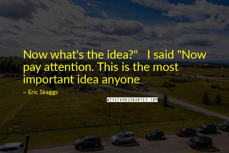 Eric Skaggs Quotes: Now what's the idea?" I said "Now pay attention. This is the most important idea anyone