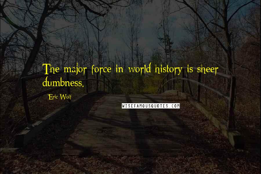 Eric Wolf Quotes: The major force in world history is sheer dumbness.