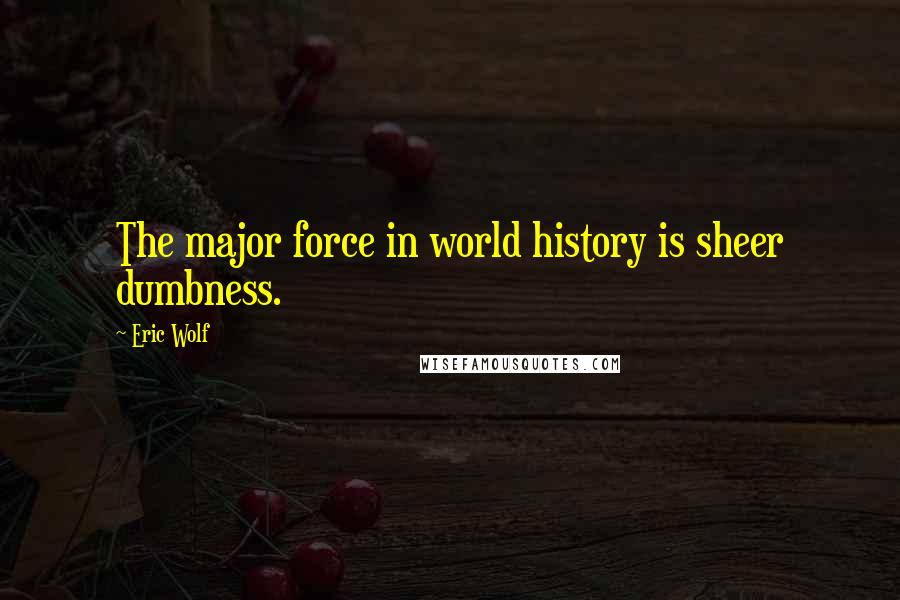 Eric Wolf Quotes: The major force in world history is sheer dumbness.