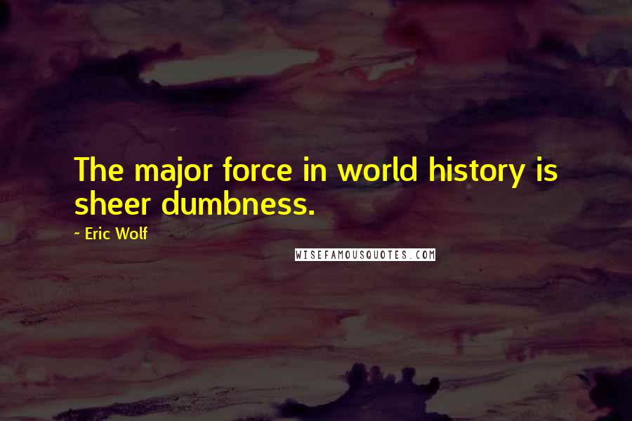 Eric Wolf Quotes: The major force in world history is sheer dumbness.