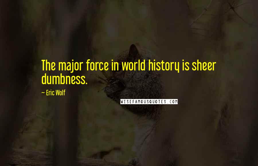 Eric Wolf Quotes: The major force in world history is sheer dumbness.