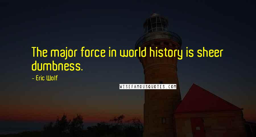 Eric Wolf Quotes: The major force in world history is sheer dumbness.