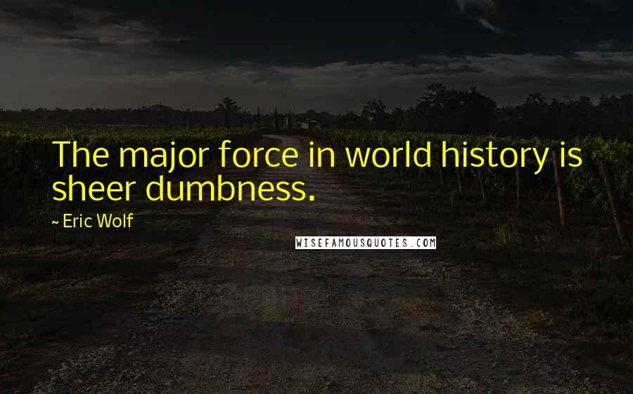 Eric Wolf Quotes: The major force in world history is sheer dumbness.