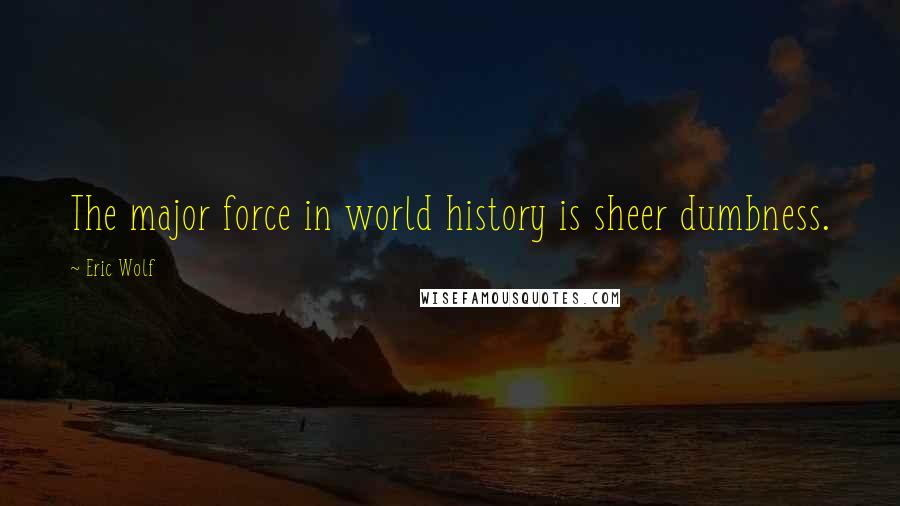 Eric Wolf Quotes: The major force in world history is sheer dumbness.