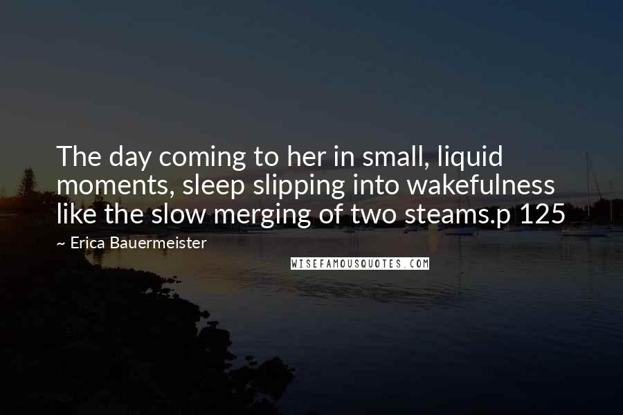 Erica Bauermeister Quotes: The day coming to her in small, liquid moments, sleep slipping into wakefulness like the slow merging of two steams.p 125