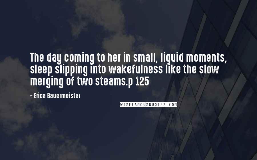 Erica Bauermeister Quotes: The day coming to her in small, liquid moments, sleep slipping into wakefulness like the slow merging of two steams.p 125