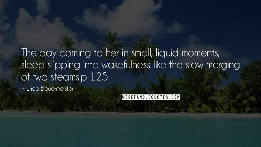 Erica Bauermeister Quotes: The day coming to her in small, liquid moments, sleep slipping into wakefulness like the slow merging of two steams.p 125
