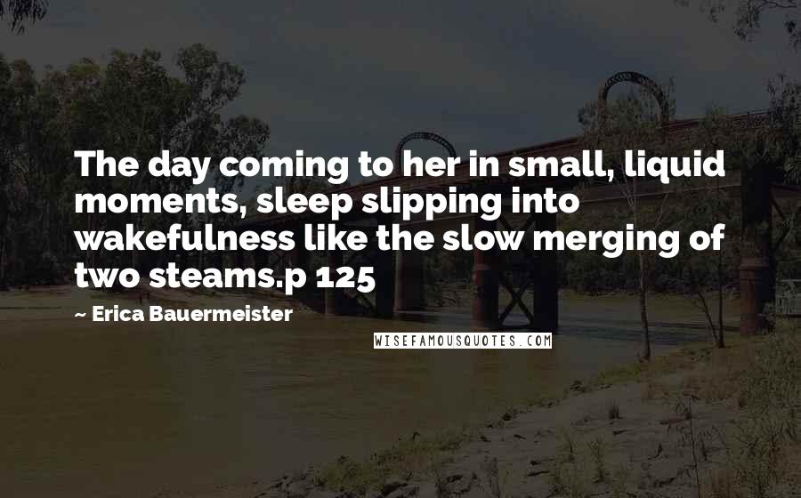 Erica Bauermeister Quotes: The day coming to her in small, liquid moments, sleep slipping into wakefulness like the slow merging of two steams.p 125