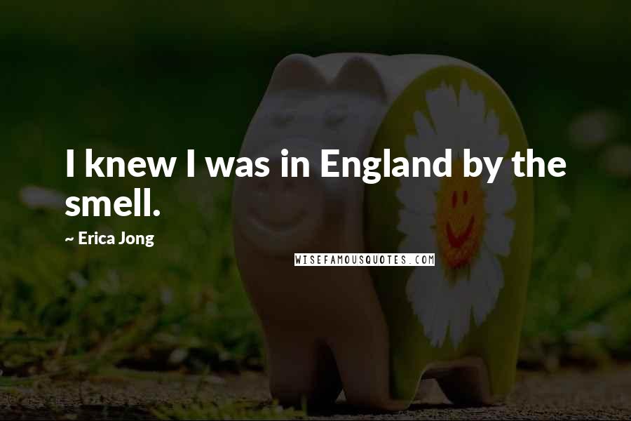 Erica Jong Quotes: I knew I was in England by the smell.
