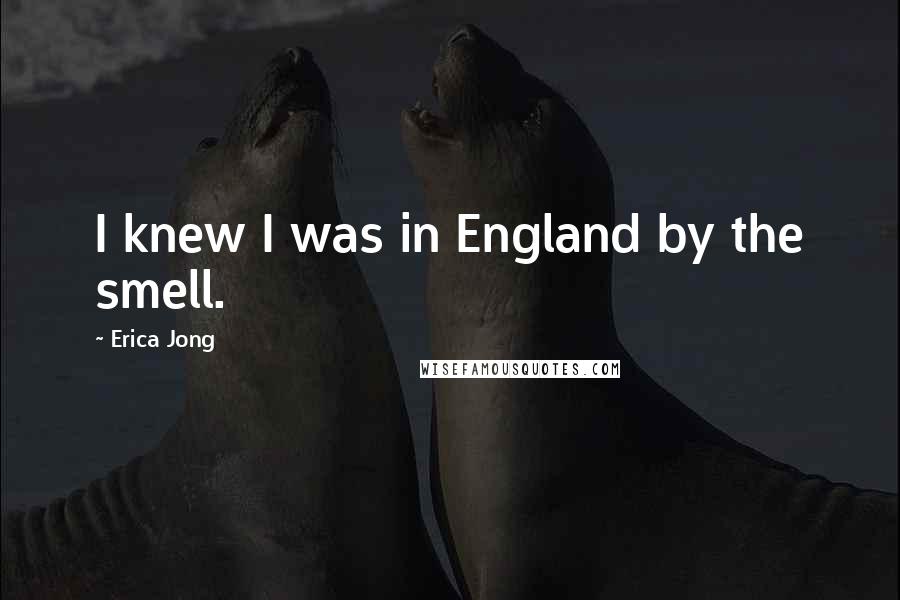 Erica Jong Quotes: I knew I was in England by the smell.