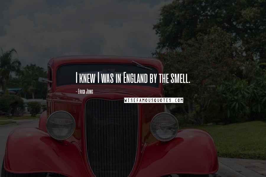 Erica Jong Quotes: I knew I was in England by the smell.