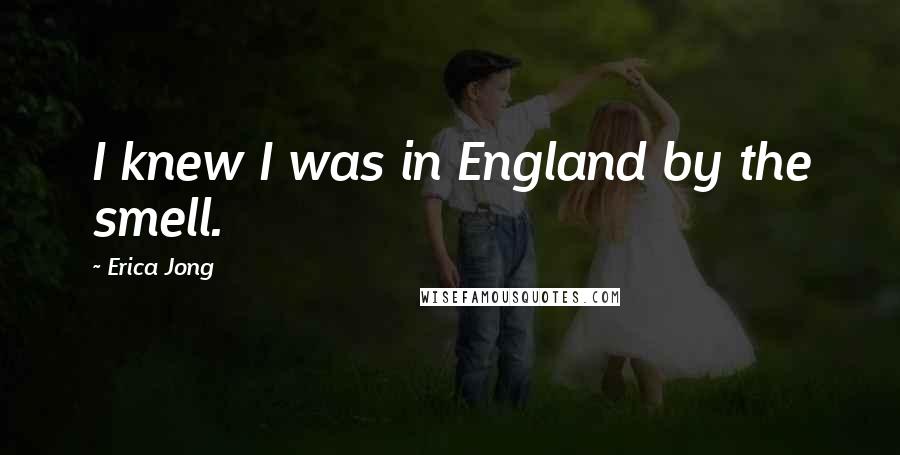 Erica Jong Quotes: I knew I was in England by the smell.