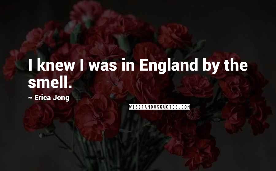 Erica Jong Quotes: I knew I was in England by the smell.