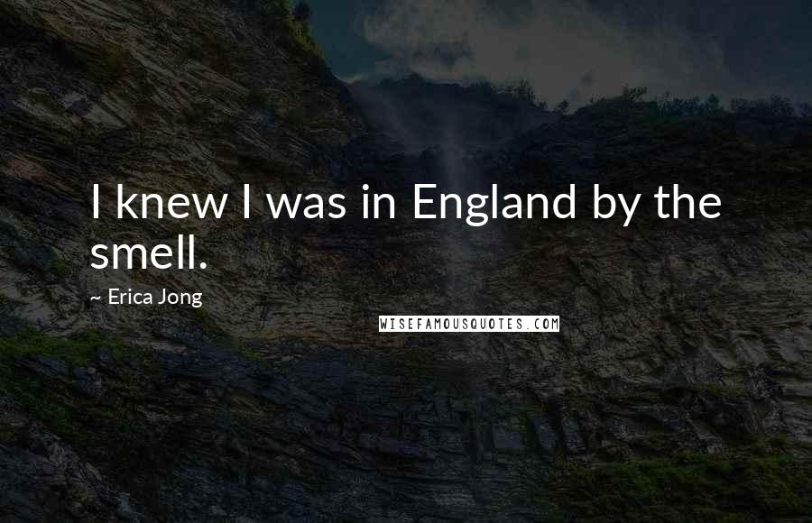 Erica Jong Quotes: I knew I was in England by the smell.