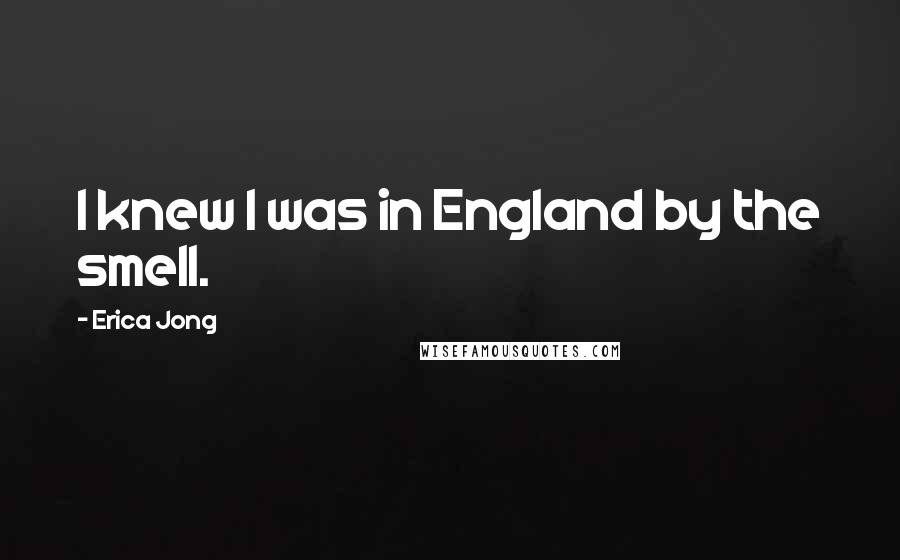 Erica Jong Quotes: I knew I was in England by the smell.