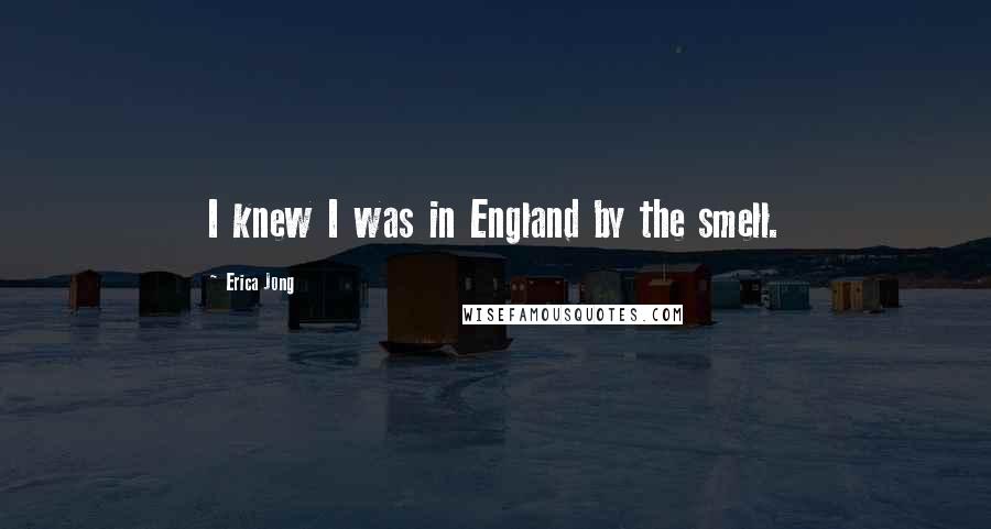 Erica Jong Quotes: I knew I was in England by the smell.