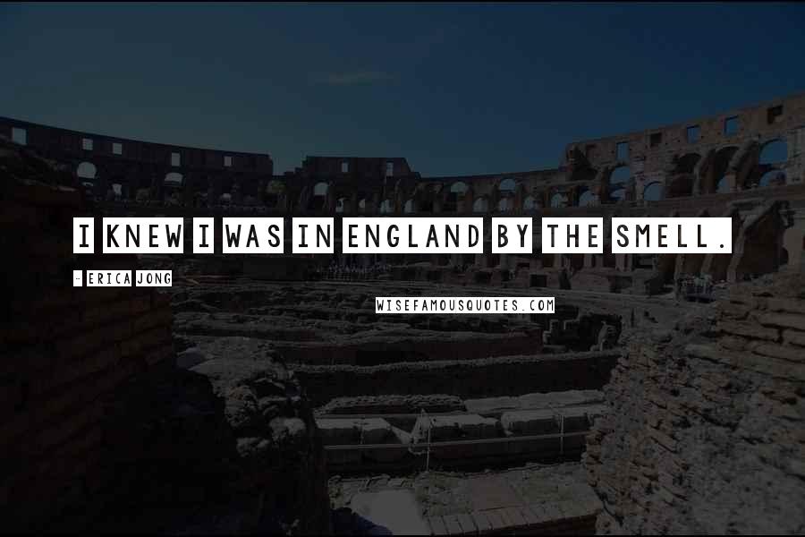 Erica Jong Quotes: I knew I was in England by the smell.