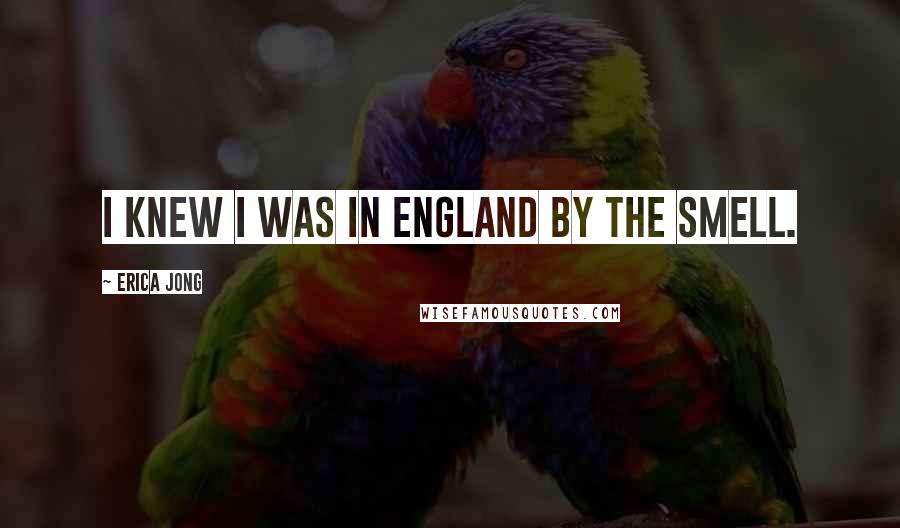 Erica Jong Quotes: I knew I was in England by the smell.