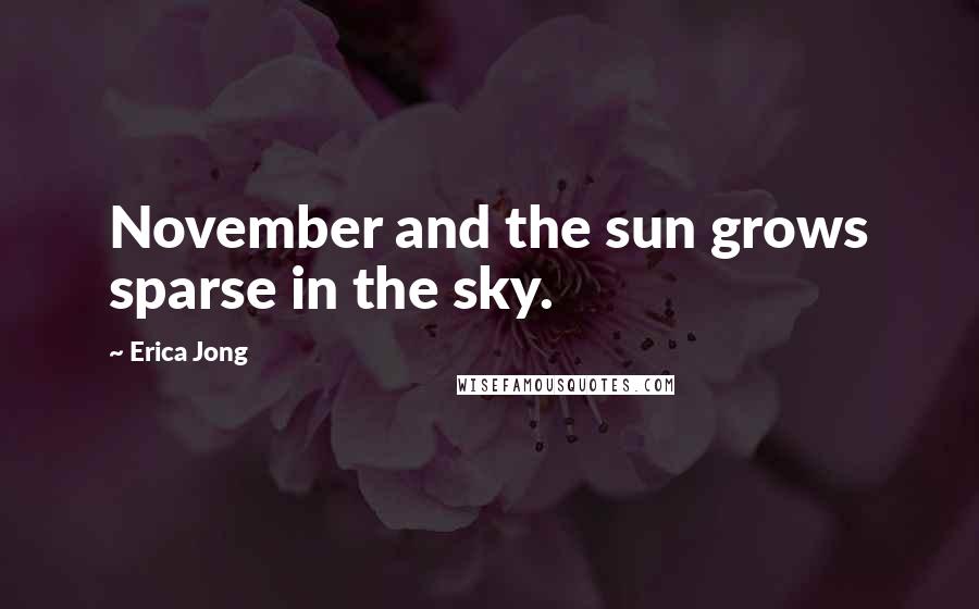 Erica Jong Quotes: November and the sun grows sparse in the sky.