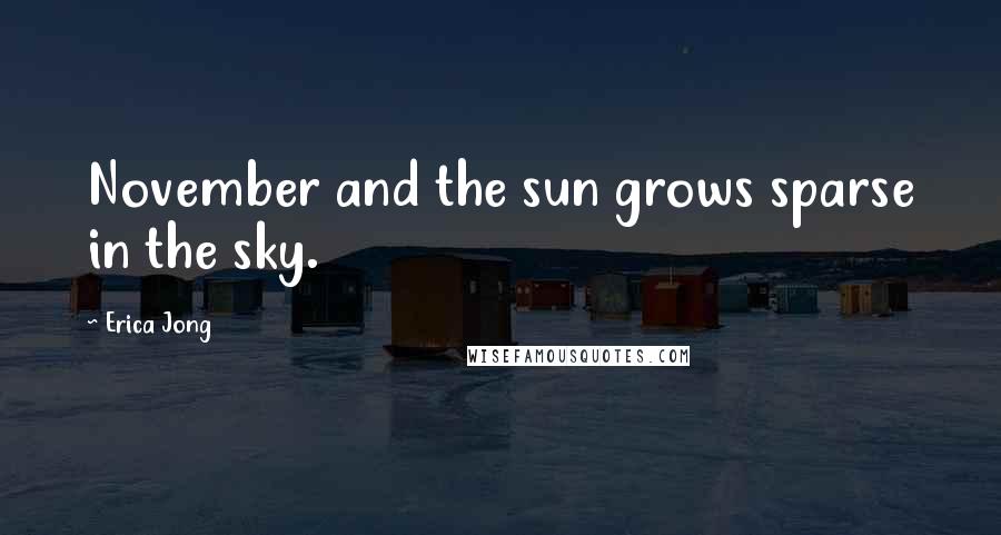 Erica Jong Quotes: November and the sun grows sparse in the sky.