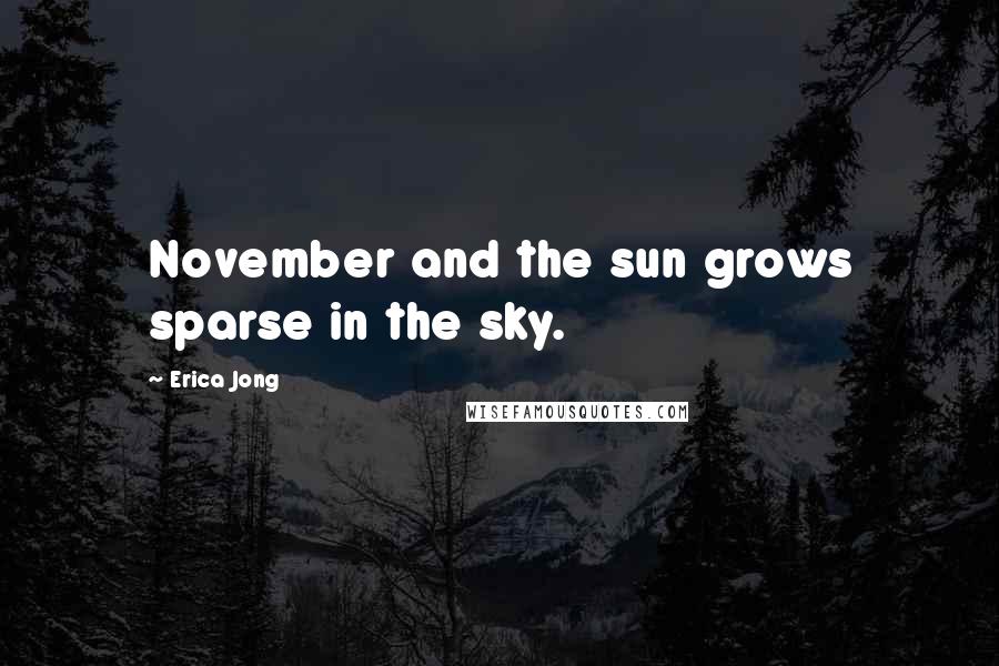 Erica Jong Quotes: November and the sun grows sparse in the sky.