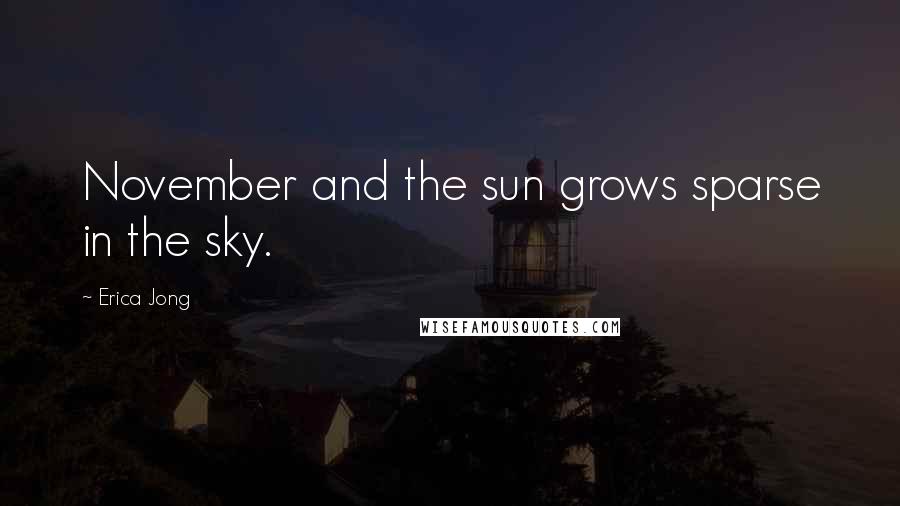 Erica Jong Quotes: November and the sun grows sparse in the sky.