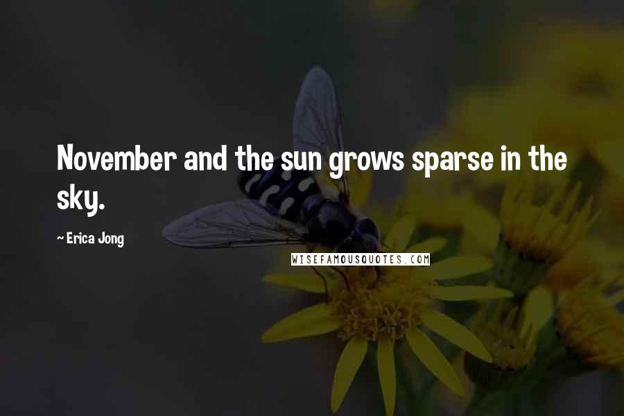 Erica Jong Quotes: November and the sun grows sparse in the sky.