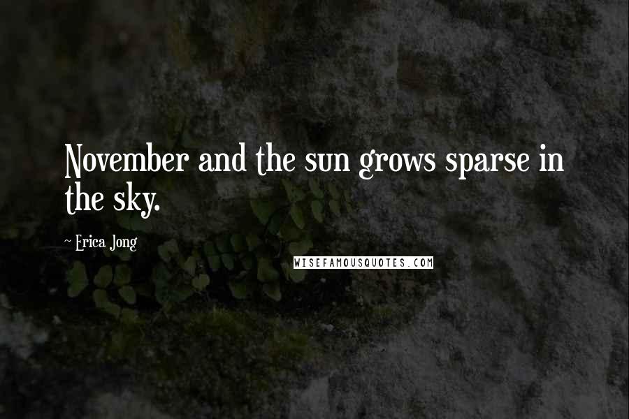Erica Jong Quotes: November and the sun grows sparse in the sky.