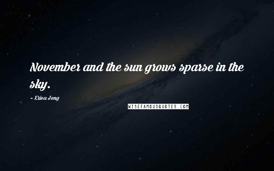 Erica Jong Quotes: November and the sun grows sparse in the sky.