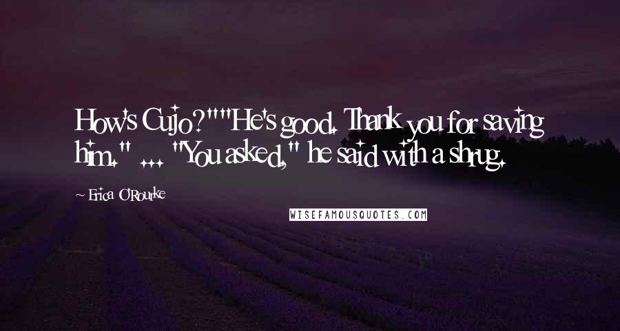 Erica O'Rourke Quotes: How's Cujo?""He's good. Thank you for saving him." ... "You asked," he said with a shrug.