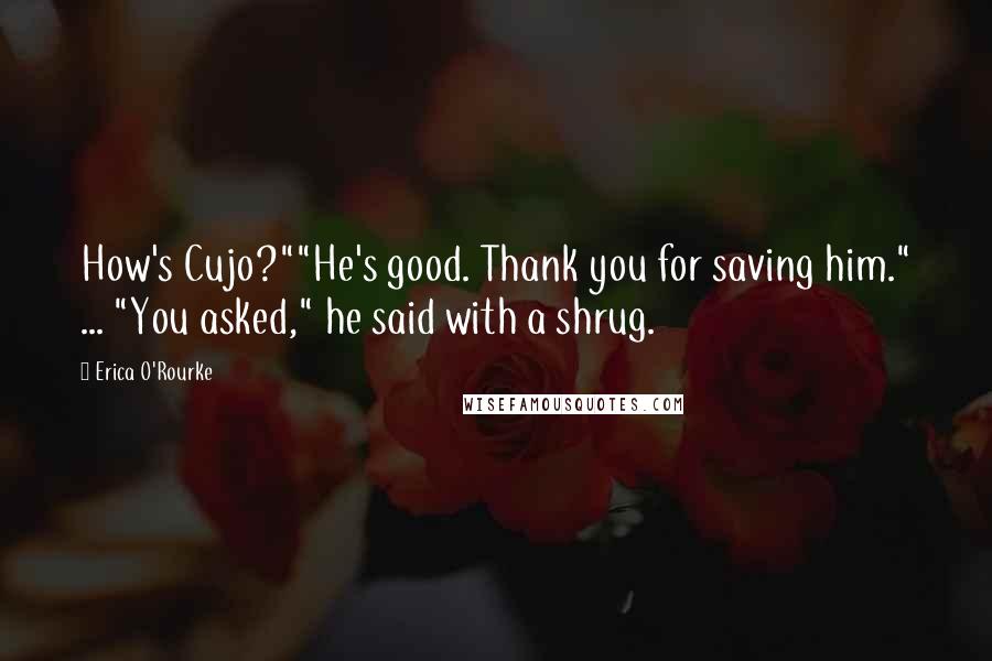 Erica O'Rourke Quotes: How's Cujo?""He's good. Thank you for saving him." ... "You asked," he said with a shrug.