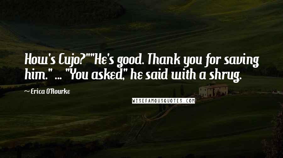 Erica O'Rourke Quotes: How's Cujo?""He's good. Thank you for saving him." ... "You asked," he said with a shrug.