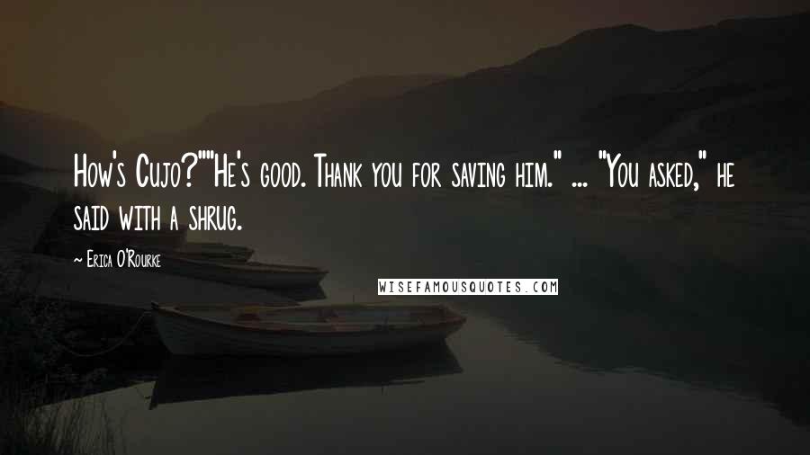 Erica O'Rourke Quotes: How's Cujo?""He's good. Thank you for saving him." ... "You asked," he said with a shrug.