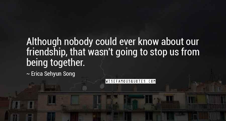 Erica Sehyun Song Quotes: Although nobody could ever know about our friendship, that wasn't going to stop us from being together.