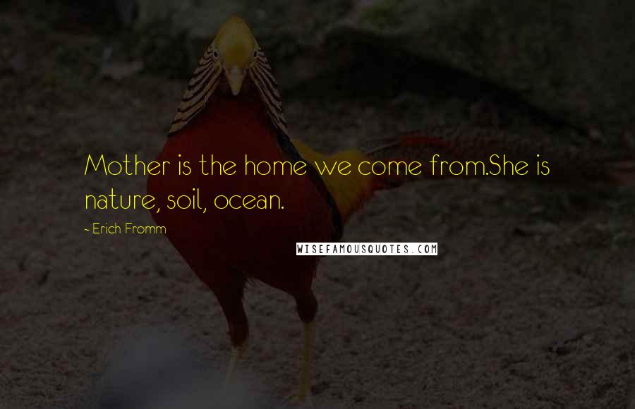 Erich Fromm Quotes: Mother is the home we come from.She is nature, soil, ocean.