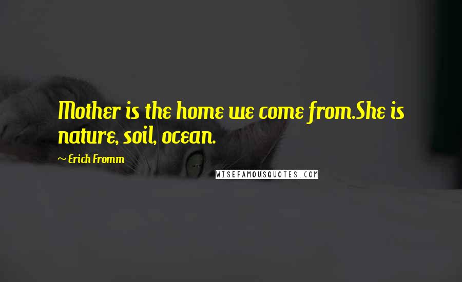 Erich Fromm Quotes: Mother is the home we come from.She is nature, soil, ocean.