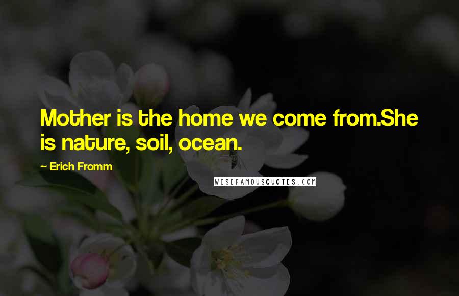 Erich Fromm Quotes: Mother is the home we come from.She is nature, soil, ocean.