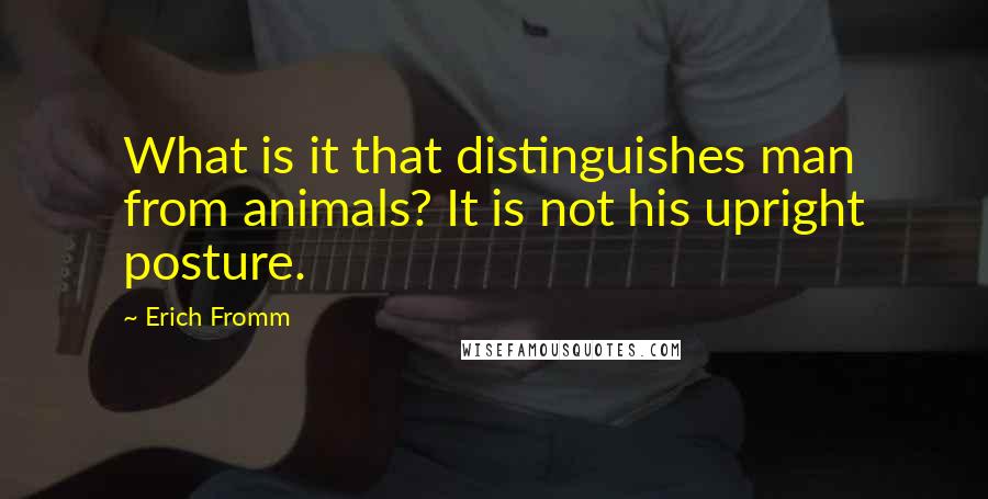 Erich Fromm Quotes: What is it that distinguishes man from animals? It is not his upright posture.